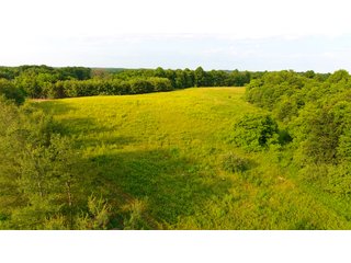 Property photo 52 - LAND AUCTION - 1,050+/- ACRES OFFERED IN 21 TRACTS PLUS 450+/- ACRE HUNTING LEASE IN MUSKINGUM COUNTY, OHIO